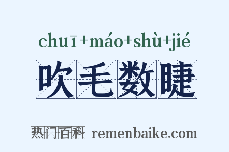 吹毛数睫是什么意思的图片